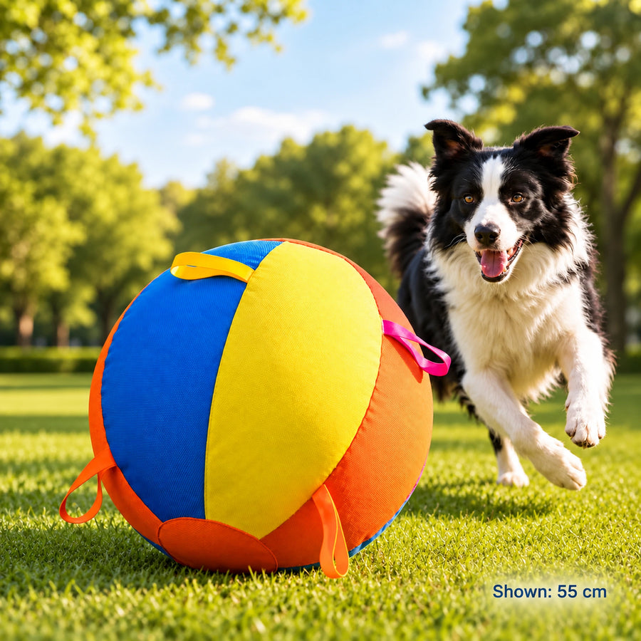 nyvose 21.7-inch / 55 cm herding ball beside a high-energy dog