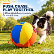 Dog pushing and chasing the nyvose oversized herding ball outdoors