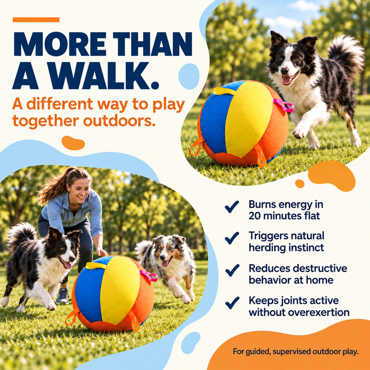Features of the nyvose oversized herding ball for active dogs