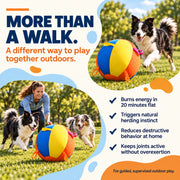 Features of the nyvose oversized herding ball for active dogs