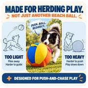 Dog using natural herding movement with the nyvose ball