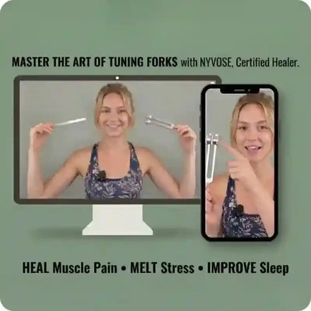 Expert Video Guide