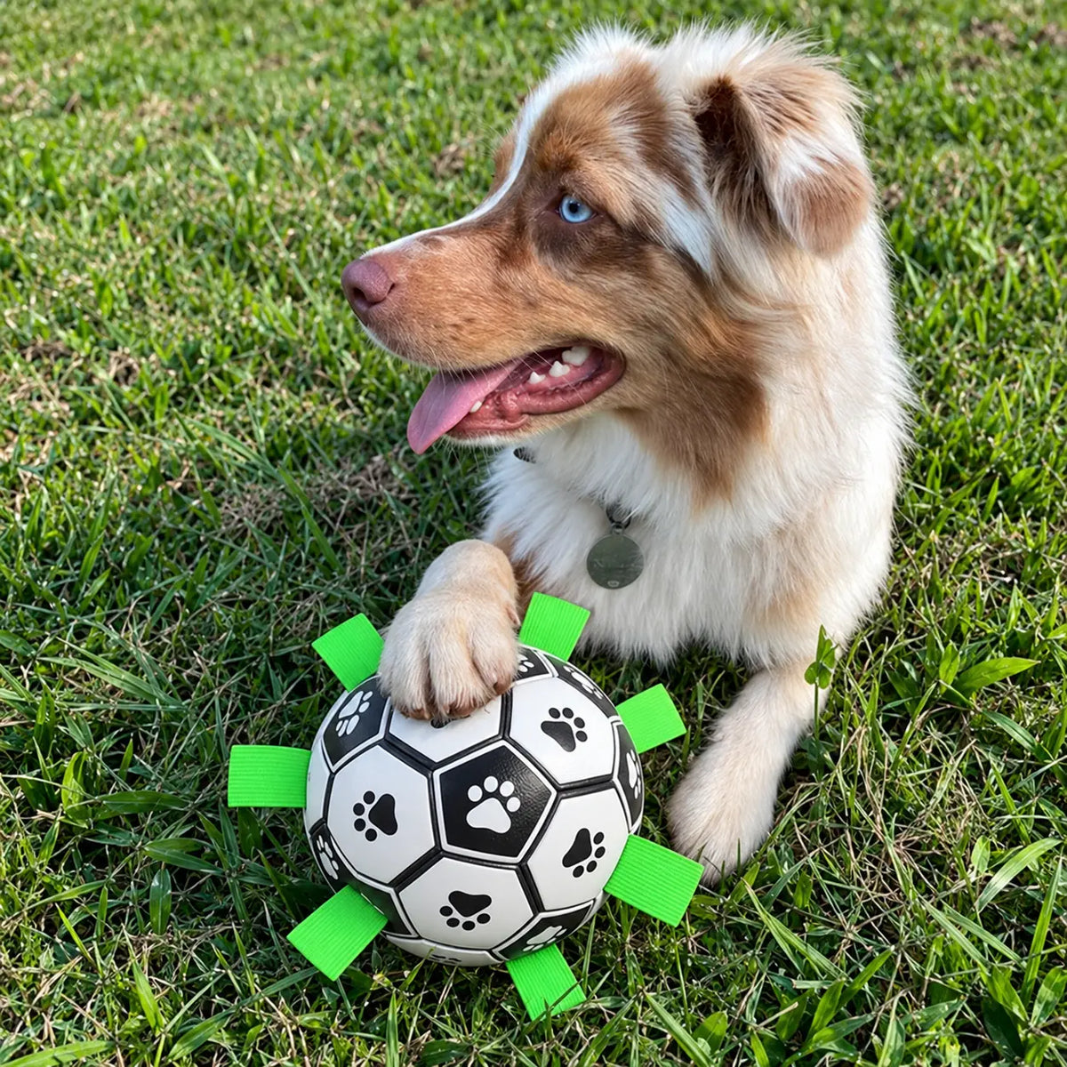 Dog playing with the nyvose Grab Tab Soccer Ball — view 3