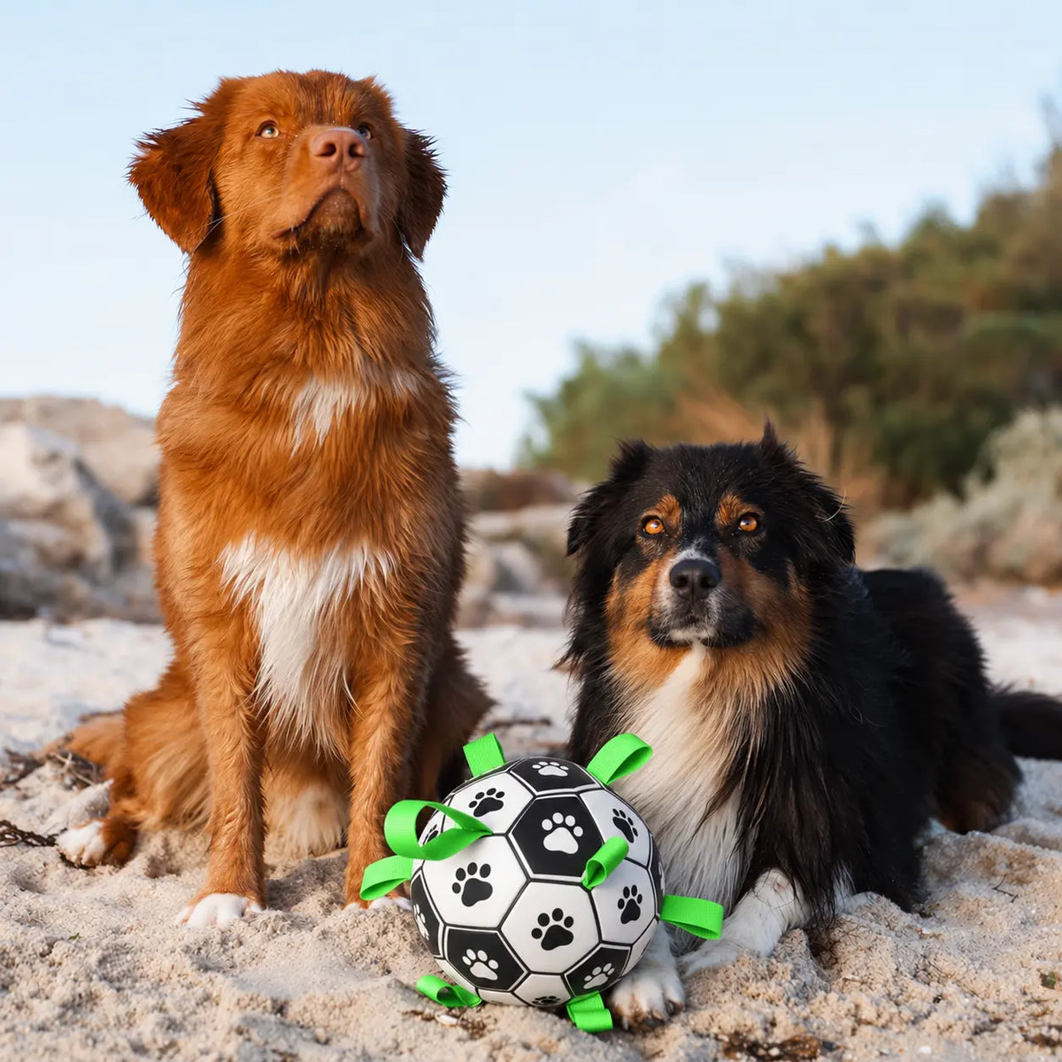 Dog playing with the nyvose Grab Tab Soccer Ball — view 4