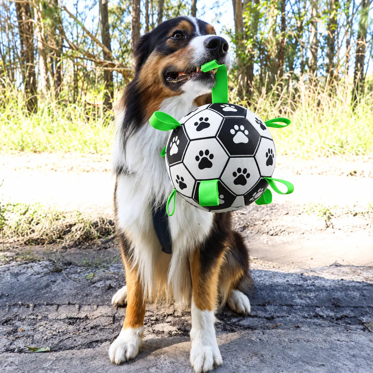 Dog playing with the nyvose Grab Tab Soccer Ball — view 5