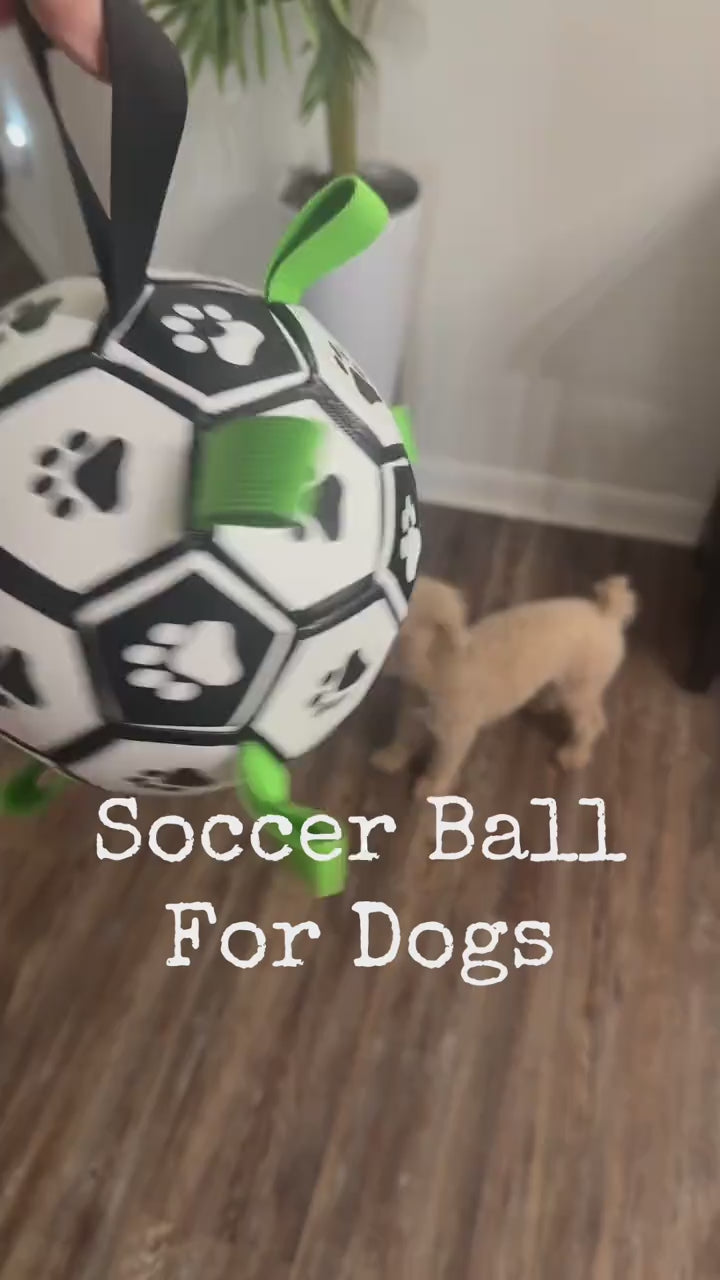 nyvose Grab Tab Soccer Ball play video 2