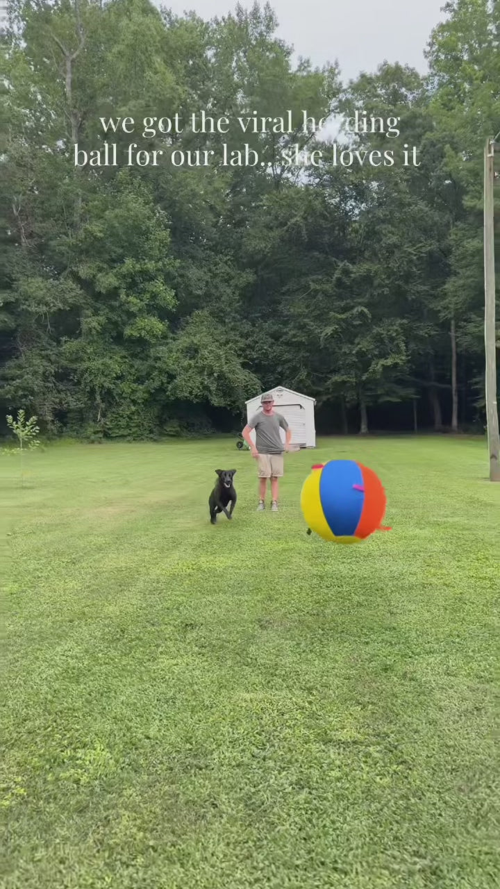 See how dogs make it their own