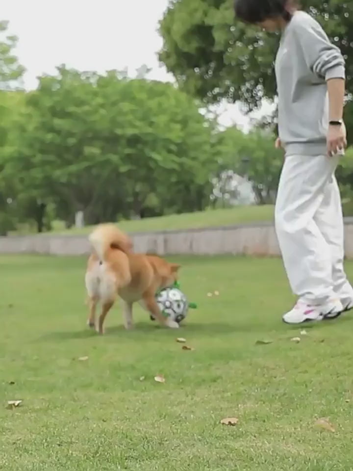 nyvose Grab Tab Soccer Ball play video 1